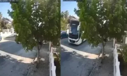 Yolda yatan köpeği ezip geçti, durmadan devam etti
