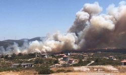 Aydın’daki yangına havadan ve karadan müdahale sürüyor