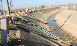 Dicle Elektrik: Borç ödemeyen çiftçilere elektrik verilmeyecek