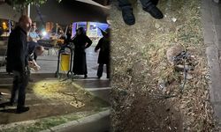 Diyarbakır'da Hastane skandalı, 5 yaşındaki çocuk ihmal nedeniyle ölüyordu