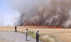 Diyarbakır’da tarım arazisinde yangın çıktı!