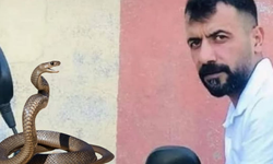 Diyarbakır’da yılan ısırması can aldı
