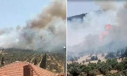 İzmir’de orman yangını: Müdahale devam ediyor!