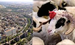 Kurban bayramında Diyarbakır’da hava nasıl olacak?