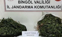 Bingöl’de 17 kilo esrar ele geçirildi, 4 tutuklama