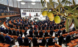TBMM’de zeytinliklerde madencilik faaliyetlerine izin verildi