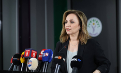 Ayşegül Doğan: İmralı heyeti siyasi temaslarına başlıyor