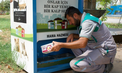 Diyarbakır’da sokak hayvanlarına yaz boyunca su desteği