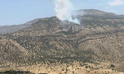 Hakkari’de çıkan yangında 5 hektarlık alan yandı