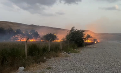 Van’da ağaçlık alanda yangın çıktı