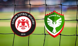 Amedspor maçı sonrası Arca Çorum FK PFDK’da!
