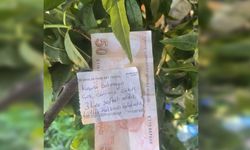Bursa’daki bu hareket herkesin beğenisini topladı