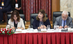 DEM Parti: “Anadil barışın anahtarıdır”