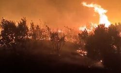 Diyarbakır yangınla mücadele ediyor: 3 ilçede müdahale sürüyor