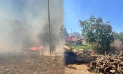 Diyarbakır'da 2 kırsal mahallede orman yangını