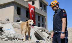 Diyarbakır’da görevli kadavra arama köpeği Pusat, 16 ilde 112 göreve katıldı