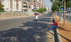 Durak yok, tabela var: Diyarbakırlılar otobüs için yol ortasında bekliyor