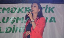 Hatimoğulları: Çözüm süreci için Öcalan’la görüşme şart