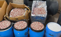 Milyonlarca uyuşturucu ele geçirildi