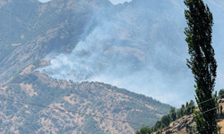 Şırnak’taki orman yangınına karadan ve havadan müdahale