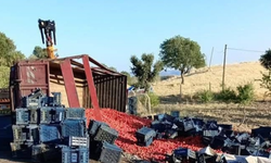 Diyarbakır'da domates yüklü TIR devrildi: 1 yaralı