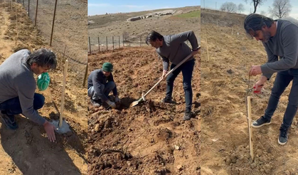 Avukat Tayuzak, Diyarbakır’daki terkedilmiş köyde yeni bir başlangıç yaptı