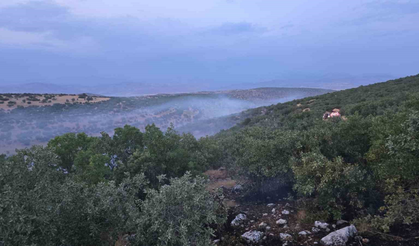 Diyarbakır Silvan’da korkutan yangın kontrol altına alındı