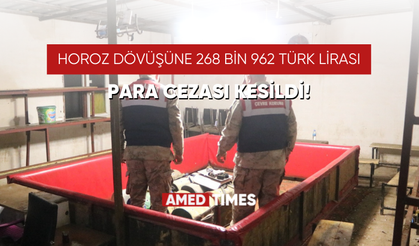 Horoz dövüşüne 268 bin 962 Türk Lirası para cezası kesildi