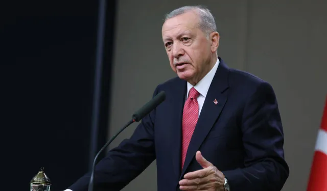 Erdoğan sokak hayvanlarıyla ilgili eleştirilere tepki gösterdi