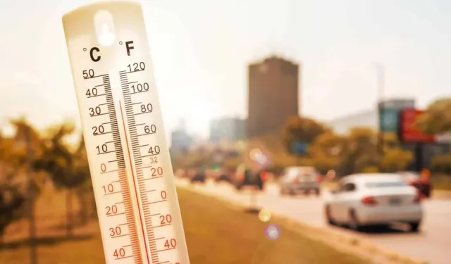 21 Temmuz, Dünya'nın en sıcak günü olarak kaydedildi