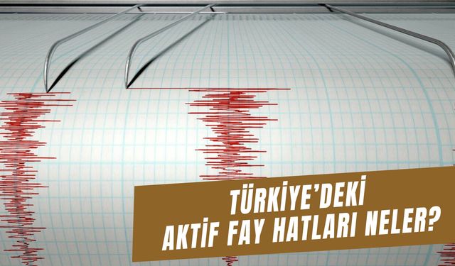 Deprem Bölgesi Türkiye’deki Aktif Fay Hatları Hangileri?