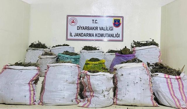 Diyarbakır’da yürütülen uyuşturucu operasyonu ile ilgili Valilikten açıklama yapıldı