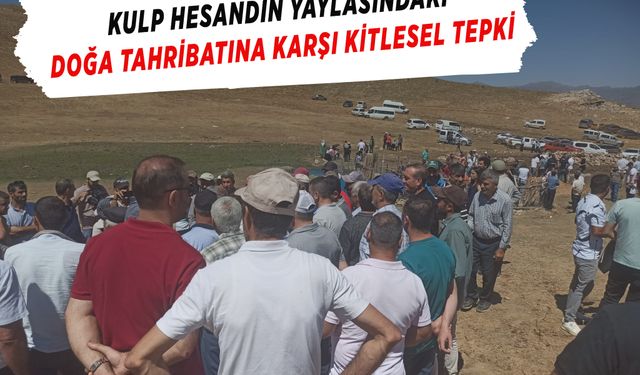 Kulp Hesandin yaylasındaki doğa tahribatına karşı kitlesel tepki