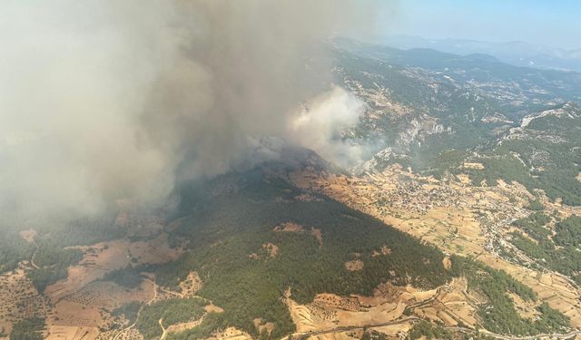 Muğla'da orman yangını çıktı