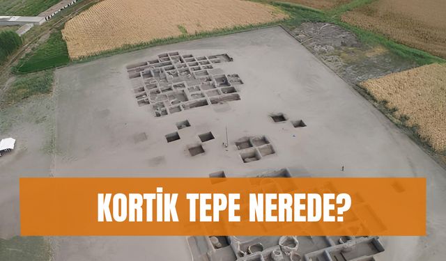 Körtik Tepe Nerede? Körtik Tepe'den Çıkan Buluntular ve Tarihi…