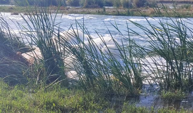 Dicle Nehri’nde kirlilik alarmı! Sular beyaz köpük içinde