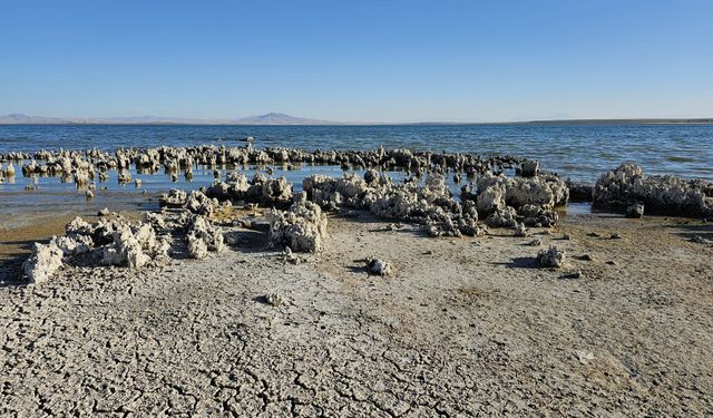 Van Gölü kuraklık tehdidiyle karşı karşıya