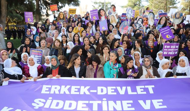 Diyarbakır Eş Başkanı Bucak kadına yönelik şiddetle mücadele için Mardin’de yürüdü