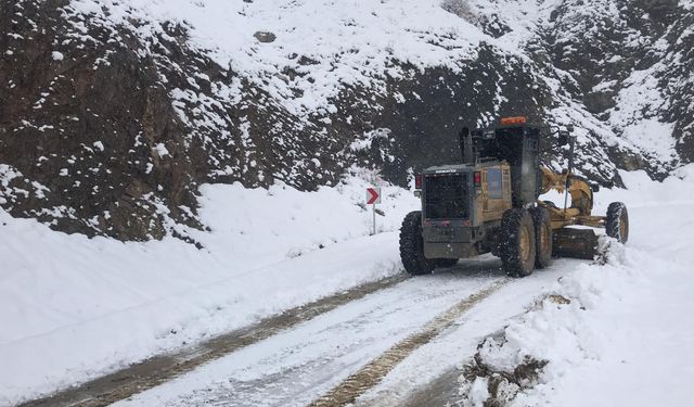 Diyarbakır’da kar nedeniyle kapanan köy yolları ulaşıma açıldı