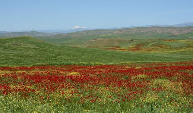 Siirt’in Garzan Ovası “büyük ova” ilan edildi