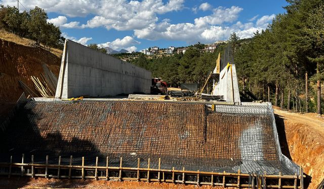 Tunceli’deki HES projesi, yaban hayatı ve tarihi zenginlikleri tehdit ediyor