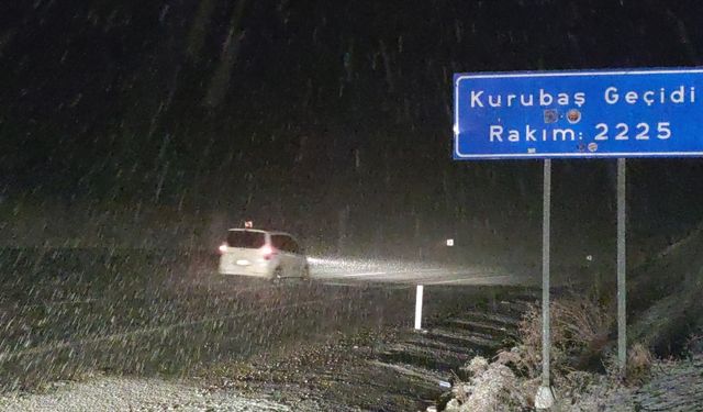 Van’da kar ve sis ulaşımı olumsuz etkiledi