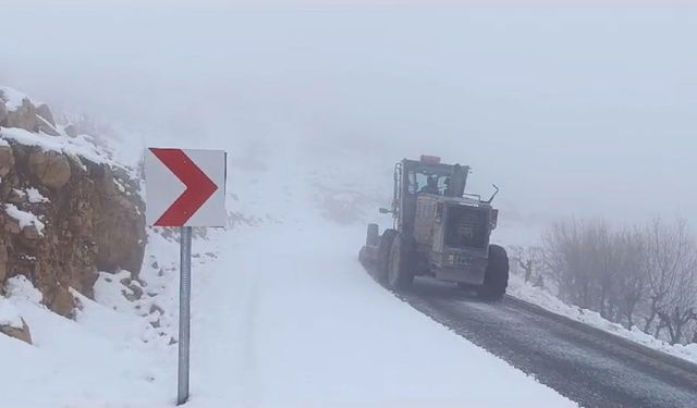 Diyarbakır'da kar yağışı nedeniyle kapanan yol yeniden ulaşıma açıldı