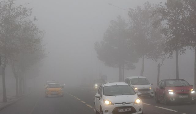 Diyarbakır’da yoğun sis ulaşımı olumsuz etkiledi