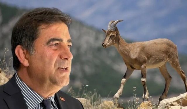 İYİ Partili Ünal Karaman’a yaban keçisi avı cezası