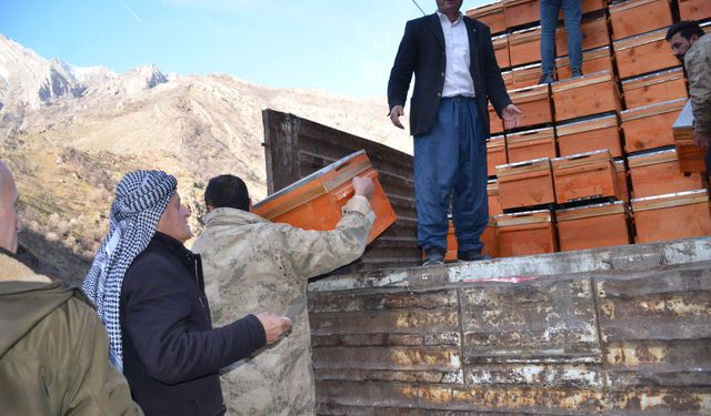 Şırnak'ta arıcılara 5 milyonluk devlet desteği