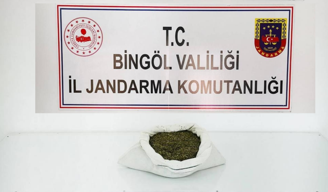 Bingöl’de jandarma, yüklü miktarda esrar ele geçirdi!