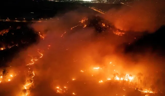 Güney Kore’deki orman yangınlarında 18 ölü, 1 kayıp
