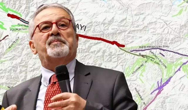 Naci Görür: Yedisu Fayı'nın eli kulağında