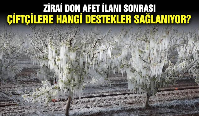 Zirai don afet ilanı sonrası çiftçilere hangi destekler sağlanıyor?Afet bölgesi olunca ne olur?